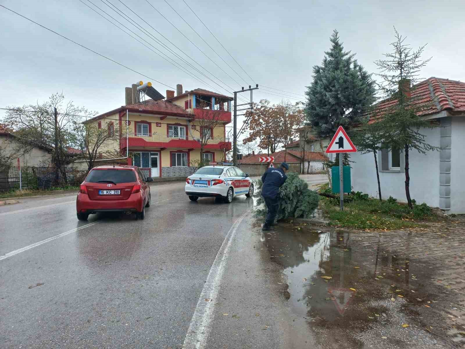 İhsaniye'de Devrilen Ağaç, Jandarma Kahramanı!