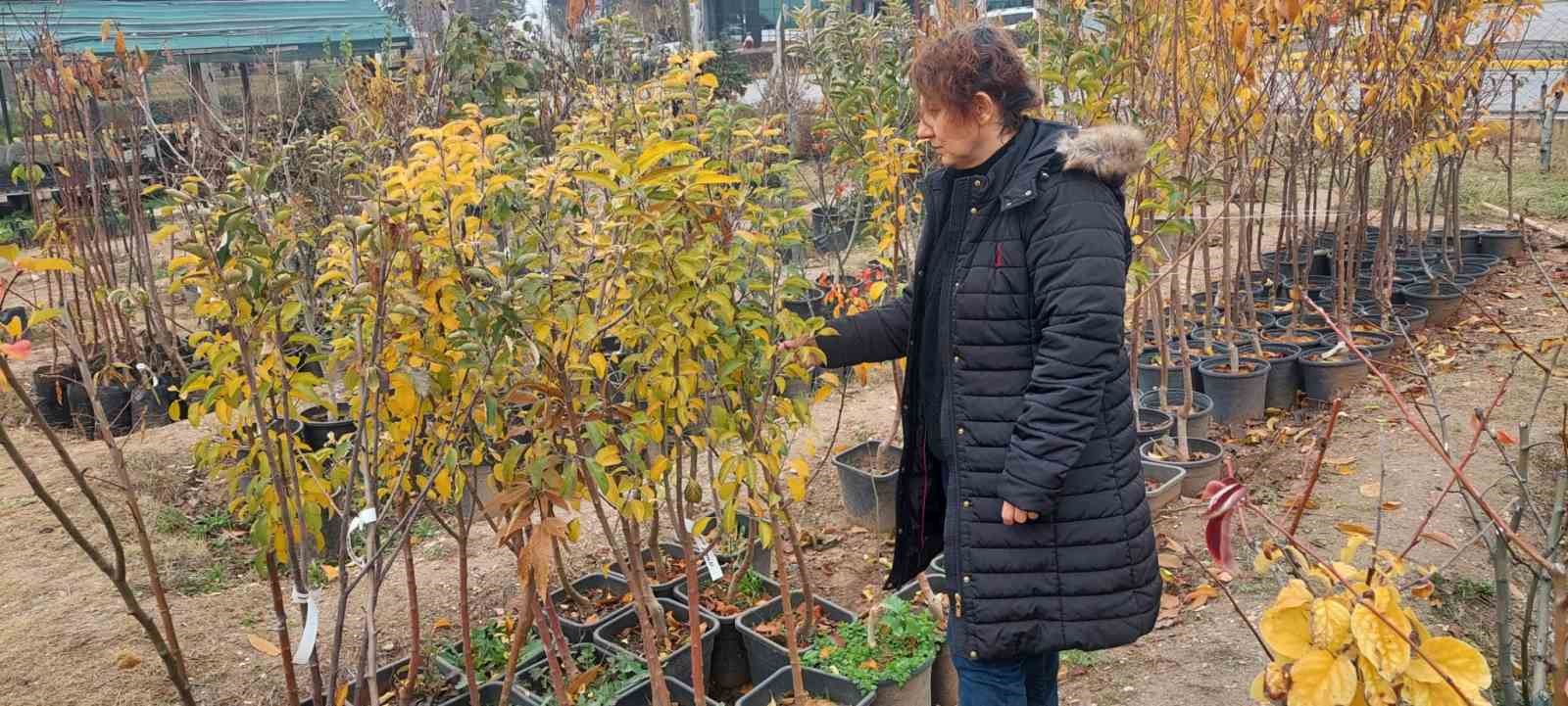 Eskişehir İl Tarım ve Orman Müdürlüğü Fide Denetimini Sürdürüyor