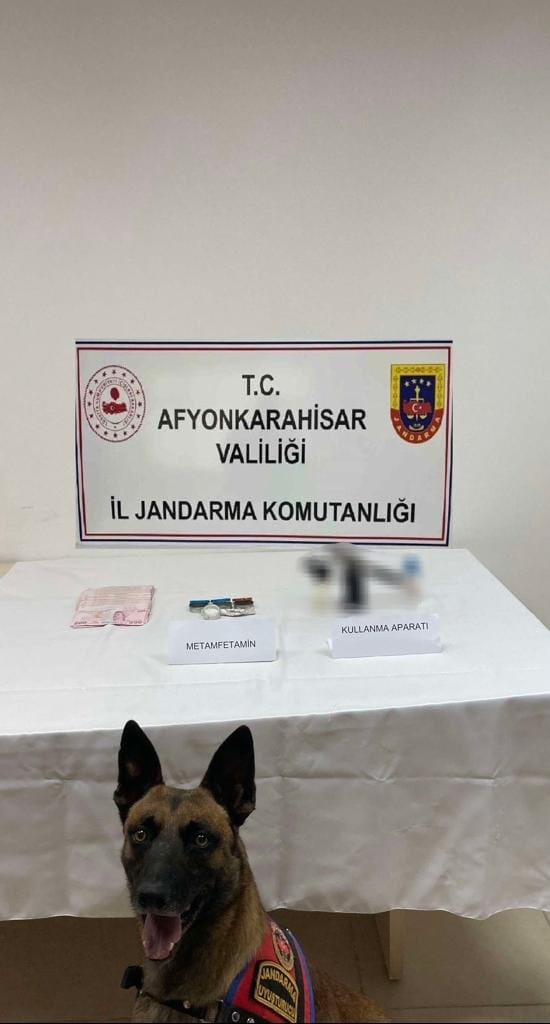 Afyonkarahisar'da Zehir Tacirlerine Operasyon