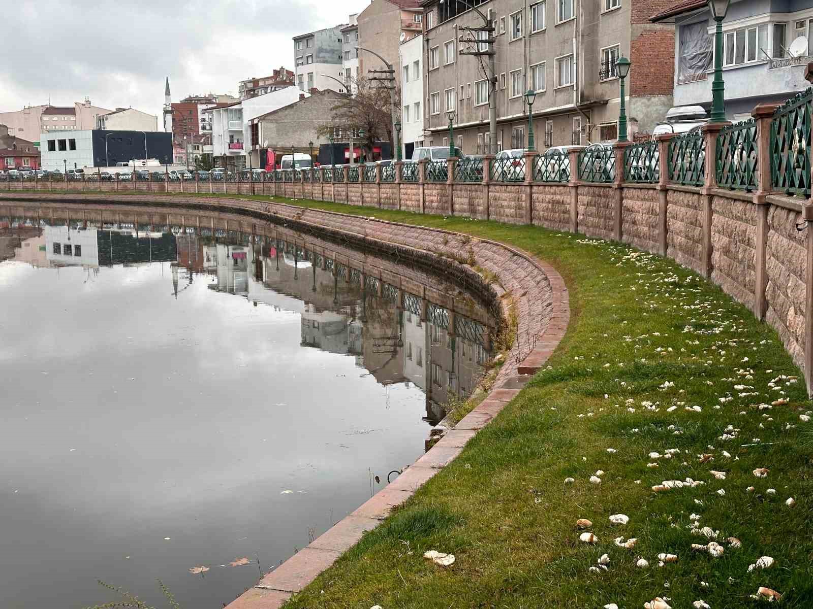 Eskişehir'de Porsuk Çayı'na atılan ekmekler çevre kirliliğine yol açtı.