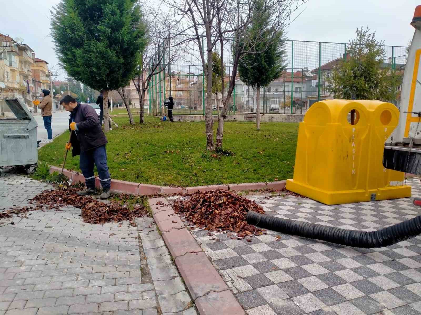 Tavşanlı Belediyesi, Caddeye Dökülen Yaprakları Topluyor