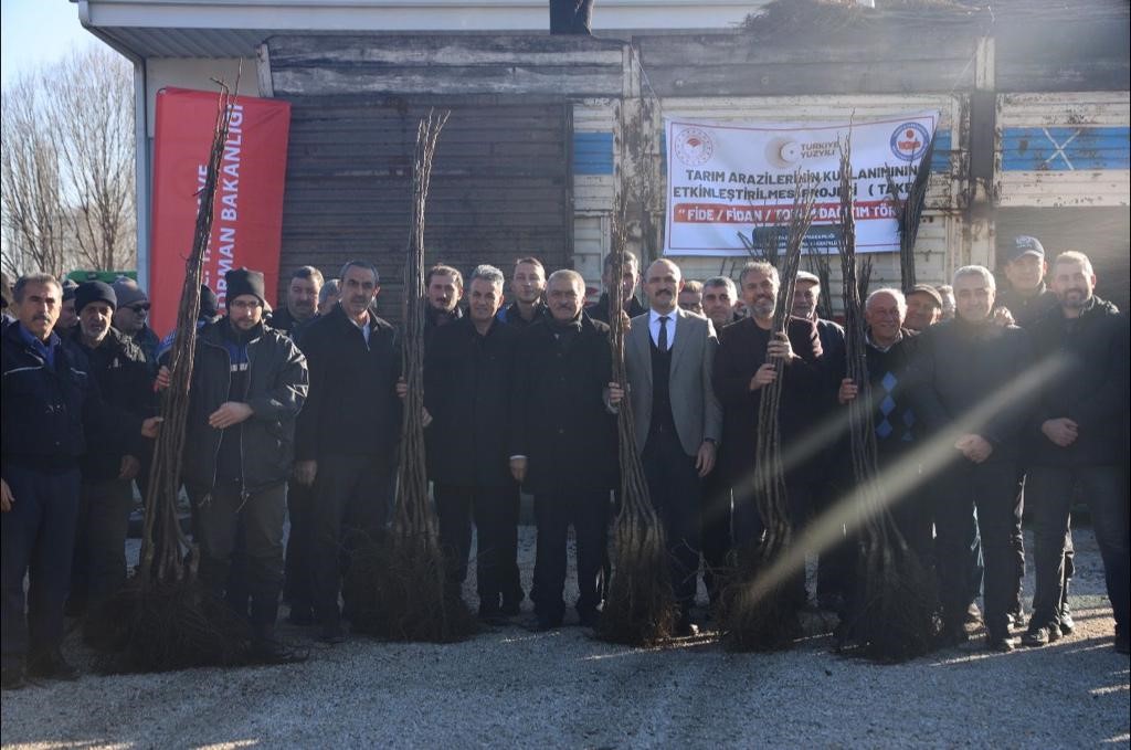 Bilecik'te çiftçilere hibeli olarak 12 bin 500 ceviz fidanı dağıtıldı.