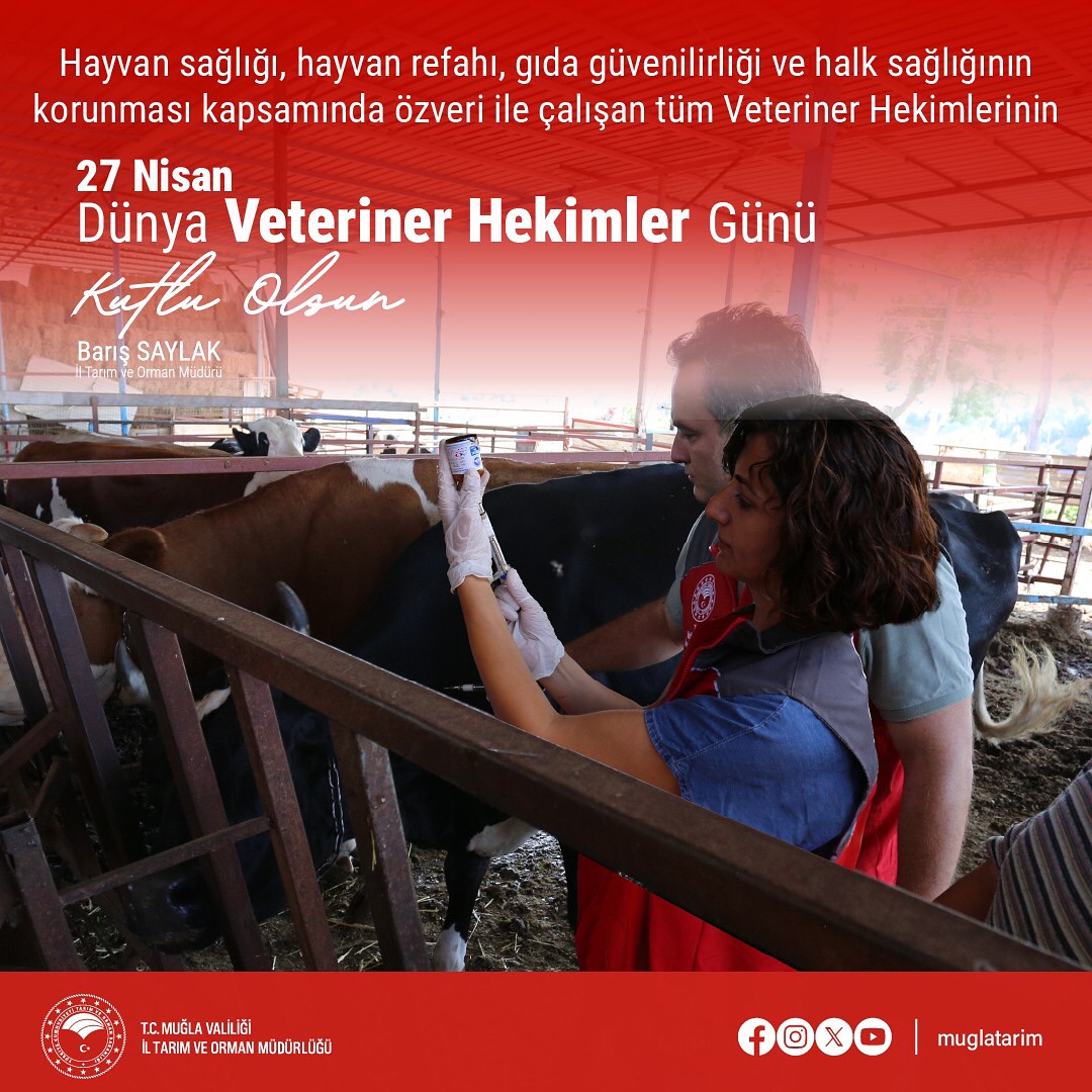 27 Nisan Dünya Veteriner Hekimler Günü