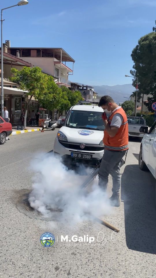 Bozdoğan'da Larva ve Uçkun Mücadelesi Hız Kesmeden Devam Ediyor