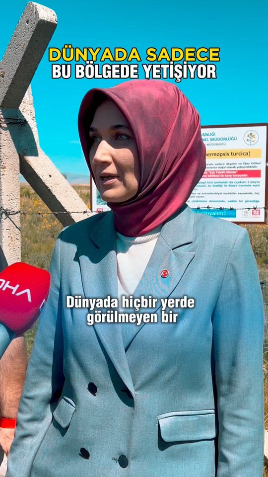 Son derece nadir bir bitki türü keşfedildi