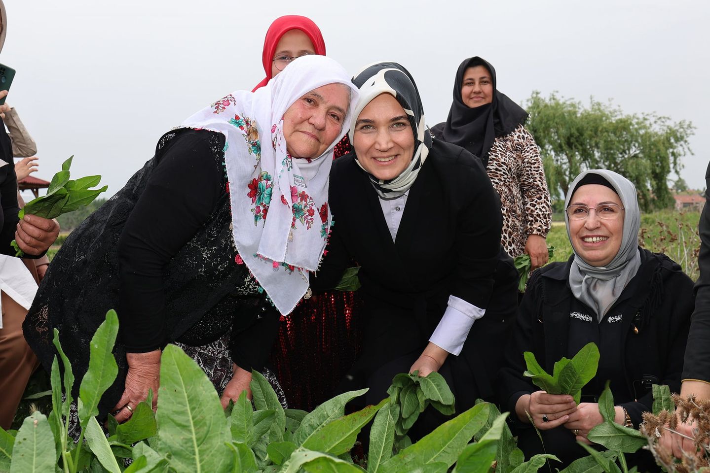 Afyonkarahisar’da Labada Yaprağı Sarması Etkinliği