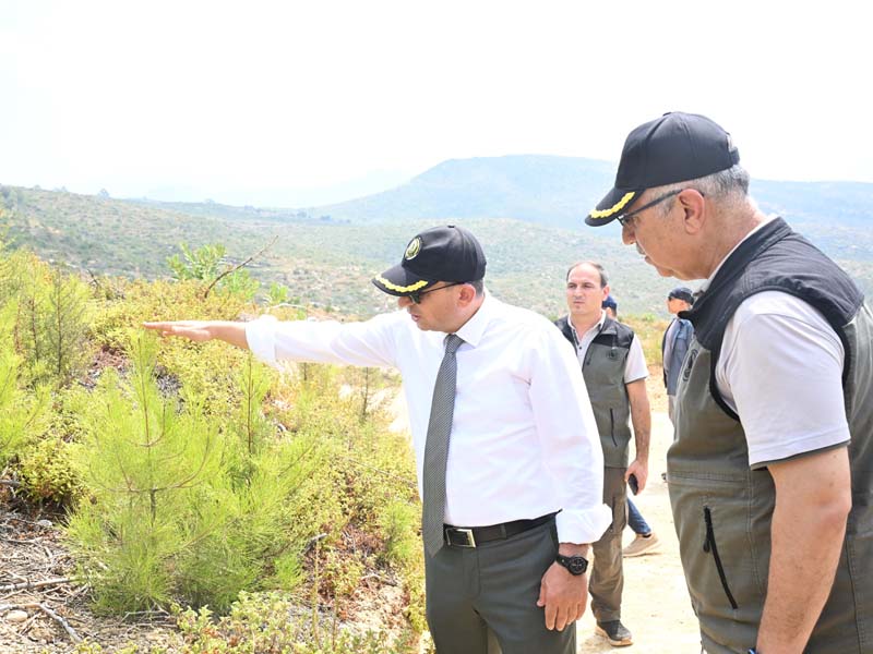 Vali Hulusi Şahin Manavgat'taki Orman Yangınına İlişkin Açıklamalarda Bulundu