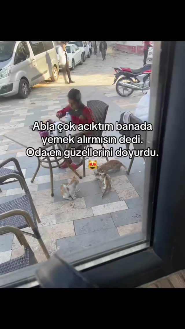 Yemek İsteyen Çocuğun Paylaşma Dersi