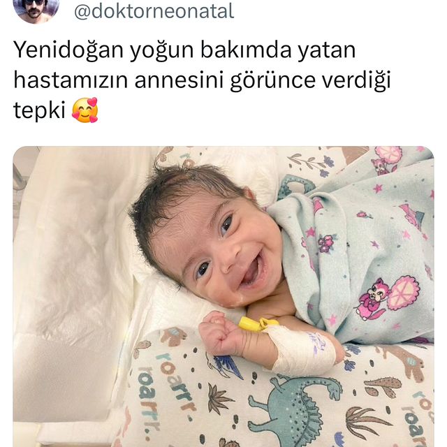 Minik Patilerin Mutlu Bekleyişi