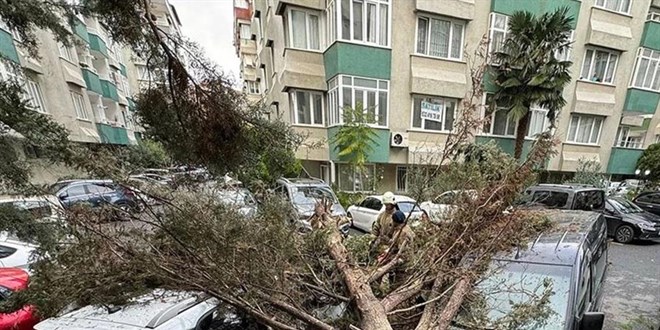 İstanbul'da Lodosun Yarattığı Hasar Açıklandı