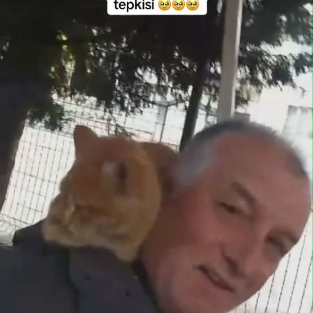 Küçük Bir Kızın Kalbini Isıtan An: Amca ve Kedi Dostluğu