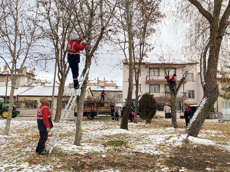 Afyonkarahisar'da Yeşil Alanlar İçin Titiz Çalışma