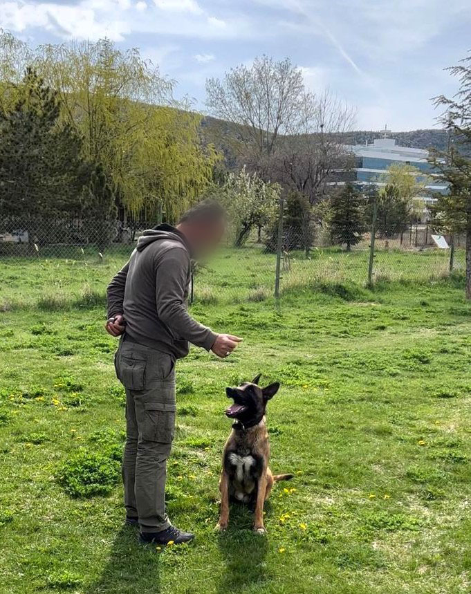 Uyuşturucu ile Mücadelede Narkotik Köpeklerin Başarı Öyküsü