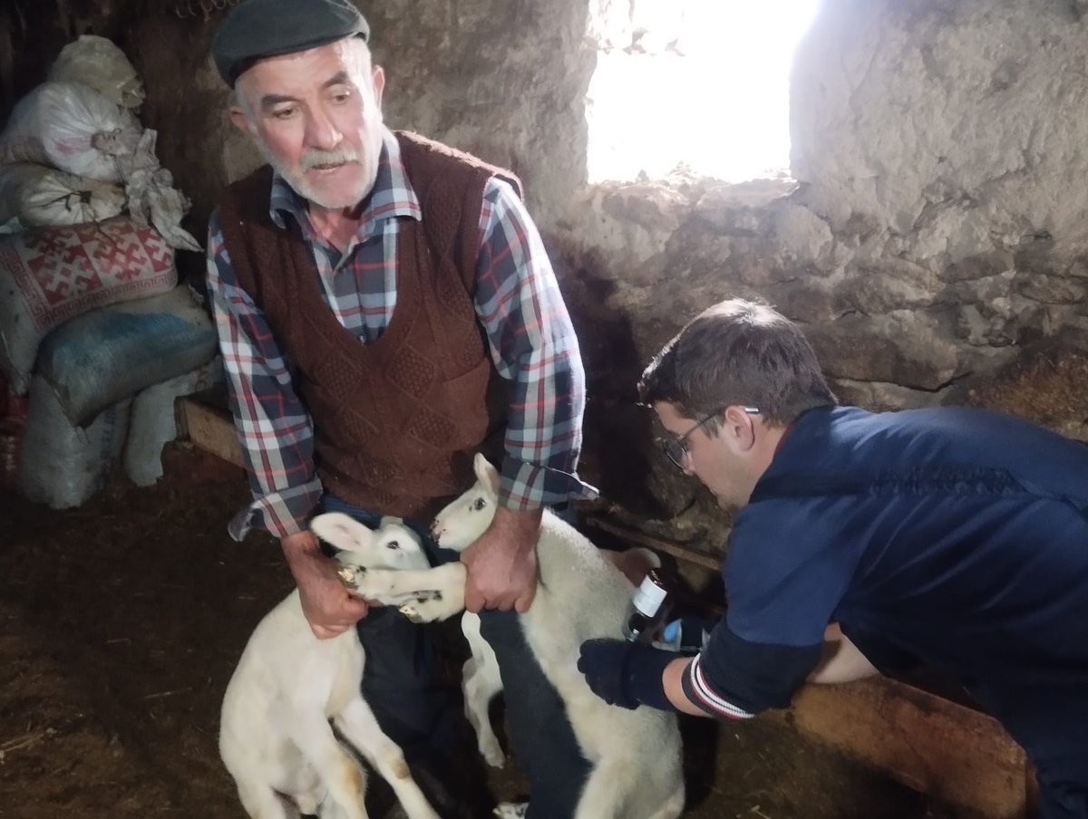 Eynehankuzviran Köyünde Küçükbaş Hayvanlar İçin Sağlık Taraması