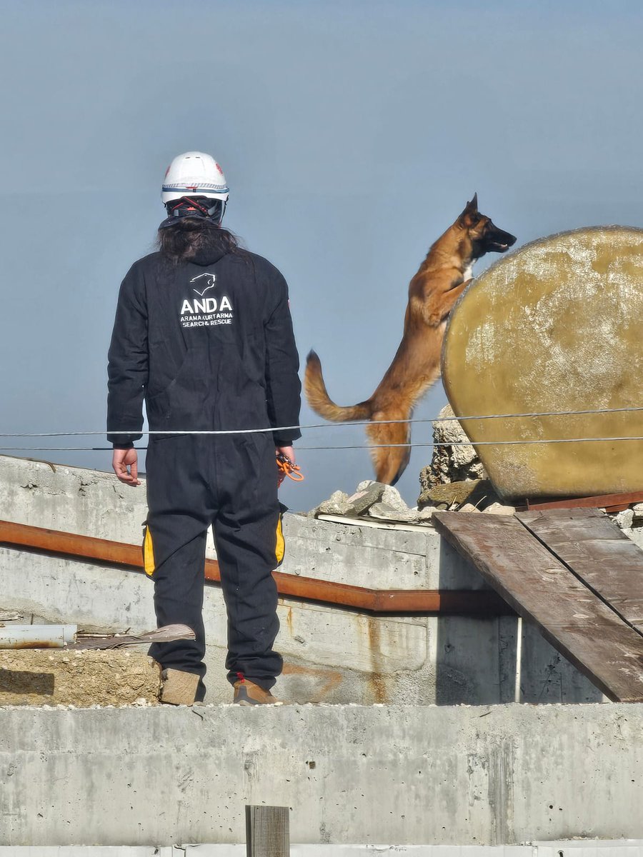 Köpekli Arama Ekibi, Eğitimle Afetlere Hazırlanıyor