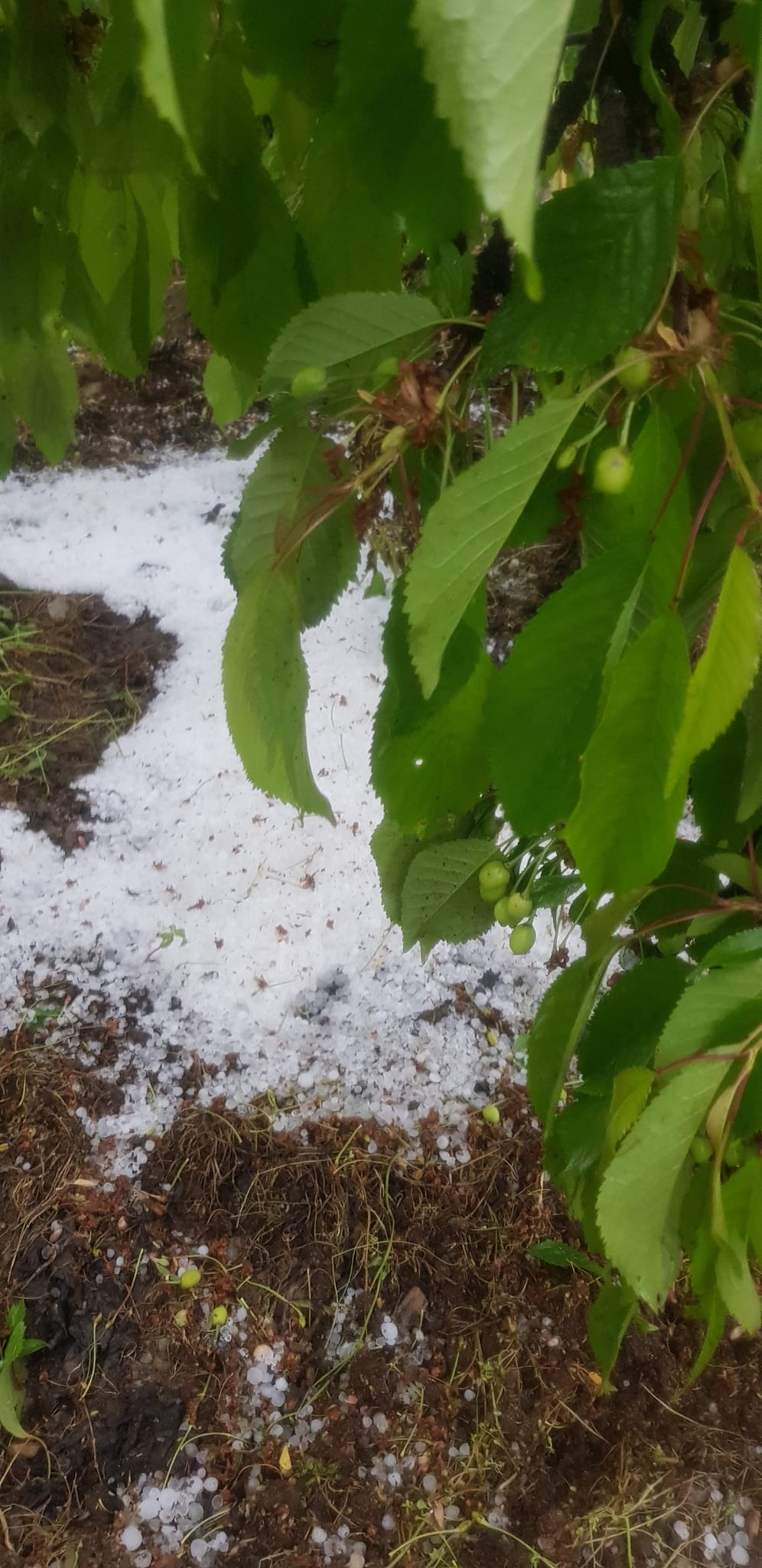 Bugün 5 Haziran Dünya Çevre Günü