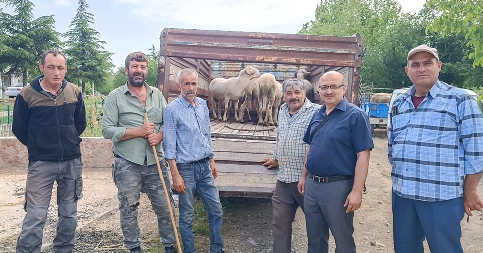 Afyonkarahisar'da Bayrama Hazırlık: Canlı Hayvan Taşımacılığı Denetimleri Arttı