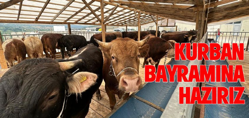 Belediye, Kurban Bayramı İçin Önlemleri Arttırıyor