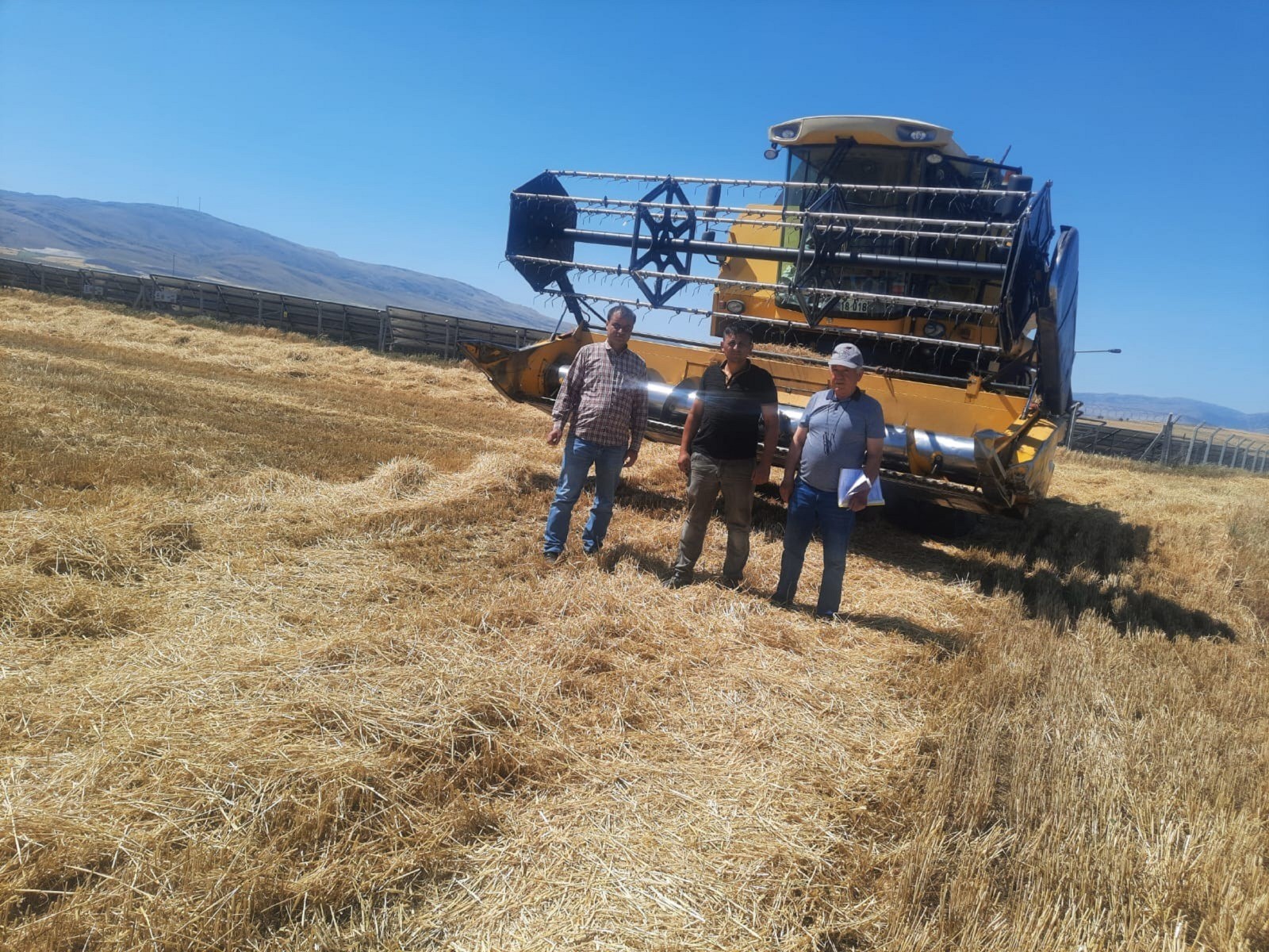 Sandıklı'da Hasat Zamanı: Arpa ve Buğdayda Verim Kaybı ile Mücadele