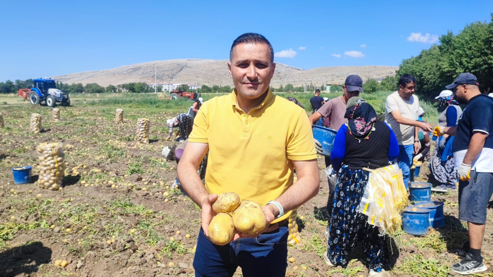  Dinar'da Marabel Patates Hasadı Başladı