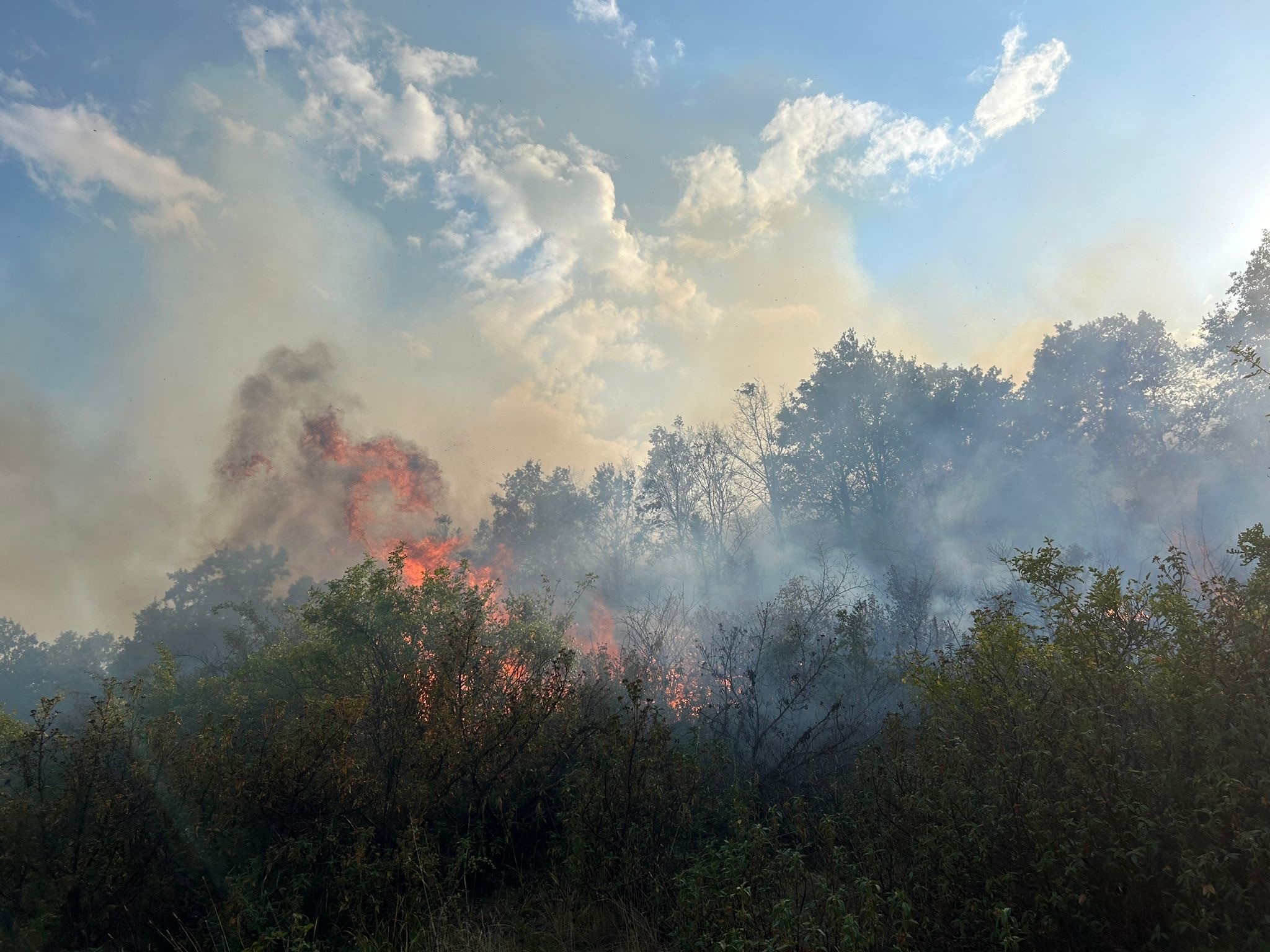 Afyonkarahisar'da Meydana Gelen Orman Yangını Kontrol Altına Alındı